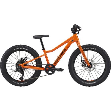 CANNONDALE KIDS TRAIL PLUS 20 2