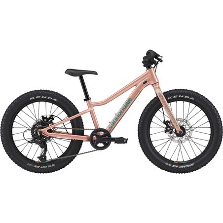 CANNONDALE KIDS TRAIL PLUS 20