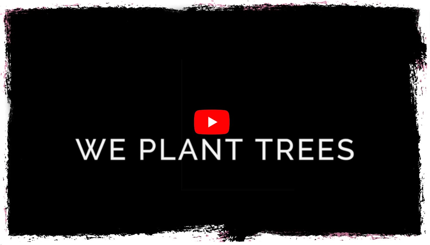  onetreeplanted.org.